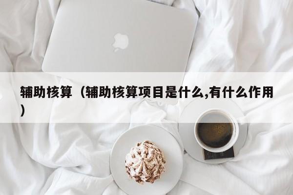 辅助核算（辅助核算项目是什么,有什么作用）