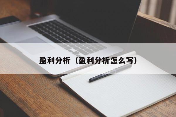 盈利分析（盈利分析怎么写）