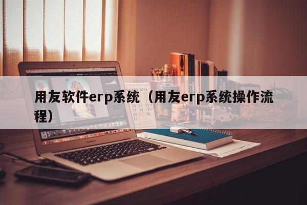 用友软件erp系统（用友erp系统操作流程）