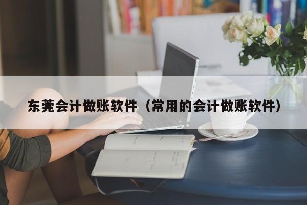 东莞会计做账软件（常用的会计做账软件）