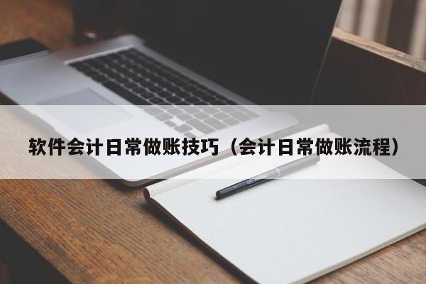 软件会计日常做账技巧（会计日常做账流程）