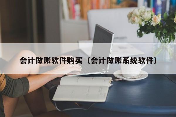 会计做账软件购买（会计做账系统软件）