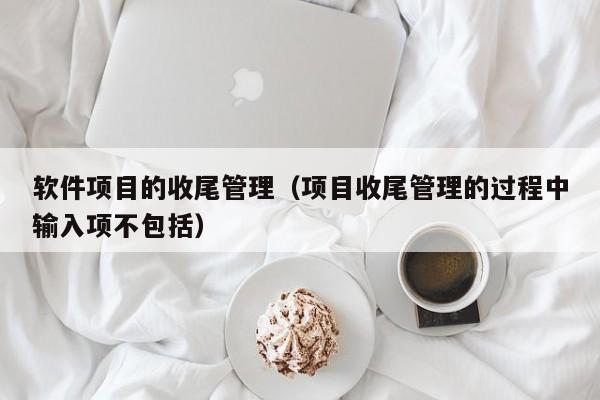 软件项目的收尾管理（项目收尾管理的过程中输入项不包括）