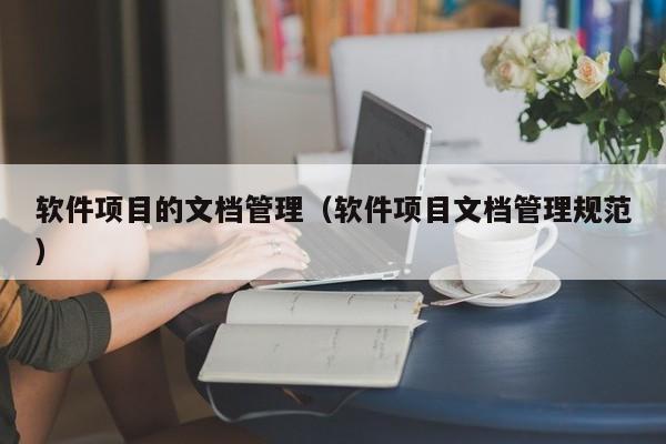 软件项目的文档管理（软件项目文档管理规范）