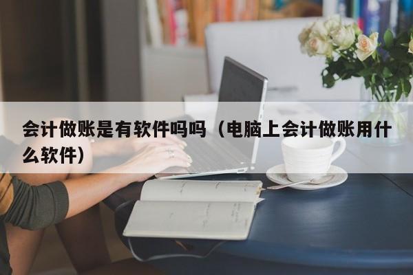 会计做账是有软件吗吗（电脑上会计做账用什么软件）