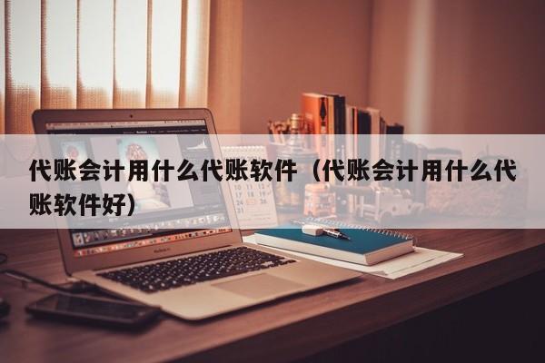 代账会计用什么代账软件（代账会计用什么代账软件好）