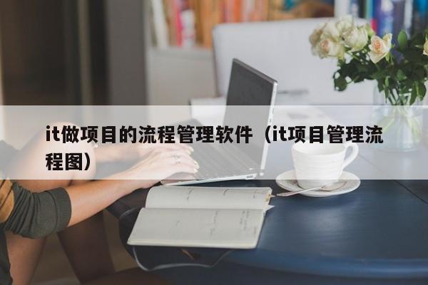 it做项目的流程管理软件（it项目管理流程图）