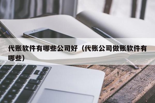 代账软件有哪些公司好（代账公司做账软件有哪些）