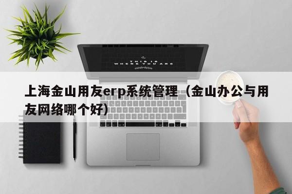 上海金山用友erp系统管理（金山办公与用友网络哪个好）