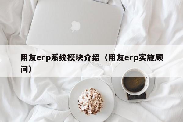 用友erp系统模块介绍（用友erp实施顾问）