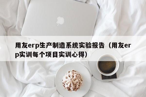 用友erp生产制造系统实验报告（用友erp实训每个项目实训心得）