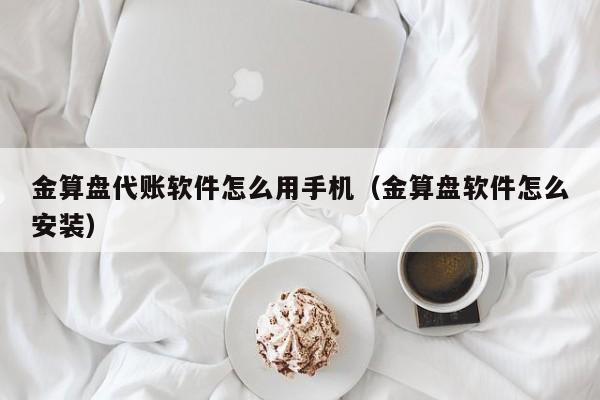 金算盘代账软件怎么用手机（金算盘软件怎么安装）