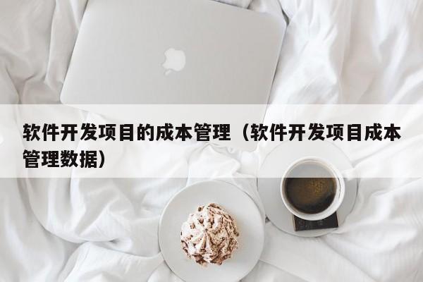 软件开发项目的成本管理（软件开发项目成本管理数据）