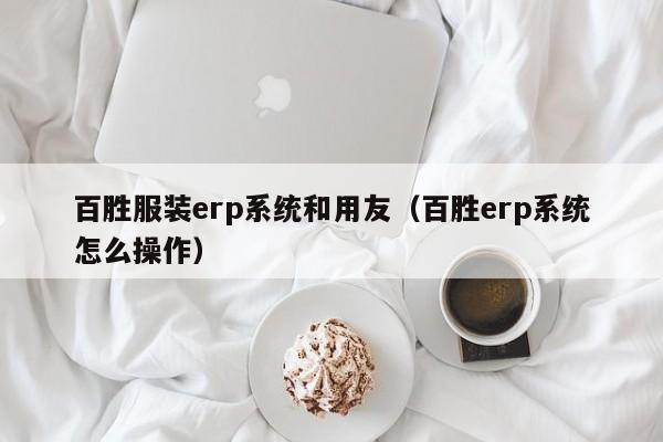 百胜服装erp系统和用友（百胜erp系统怎么操作）