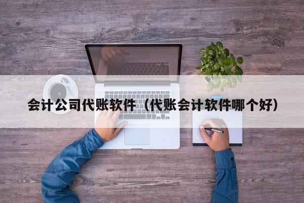 会计公司代账软件（代账会计软件哪个好）