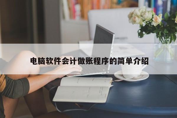 电脑软件会计做账程序的简单介绍