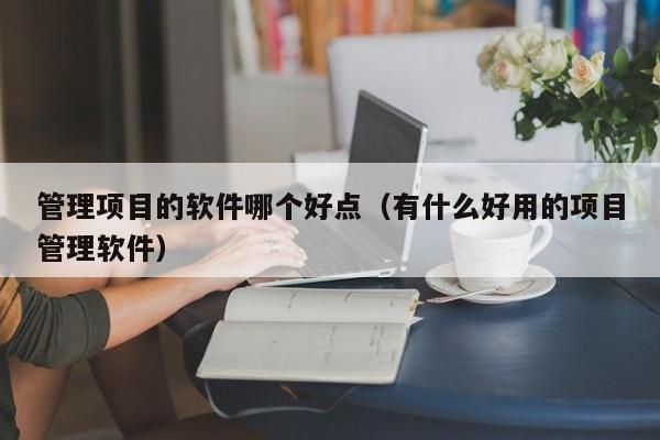 管理项目的软件哪个好点（有什么好用的项目管理软件）