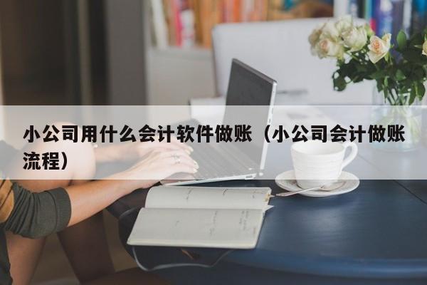 小公司用什么会计软件做账（小公司会计做账流程）