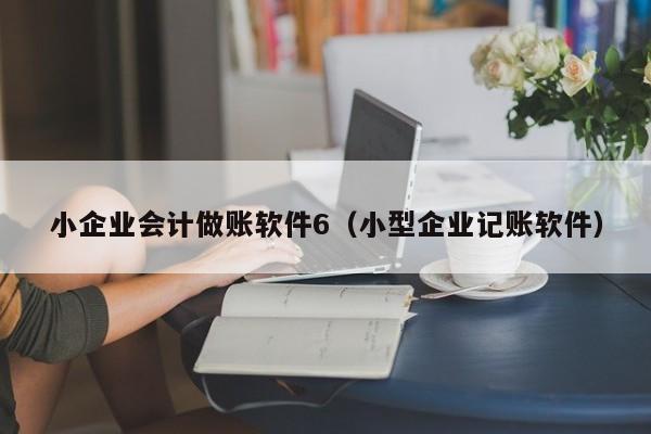 小企业会计做账软件6（小型企业记账软件）