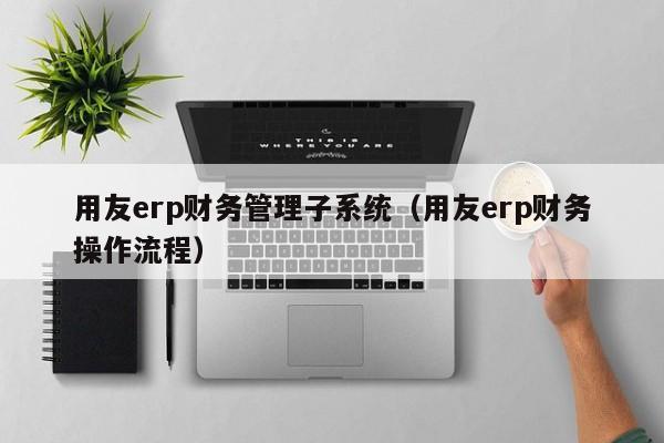 用友erp财务管理子系统（用友erp财务操作流程）