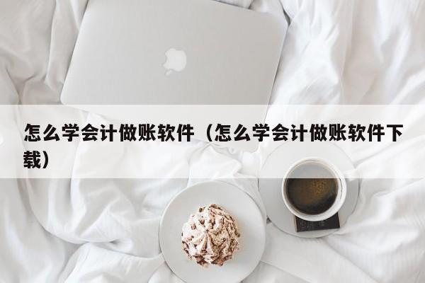 怎么学会计做账软件（怎么学会计做账软件下载）