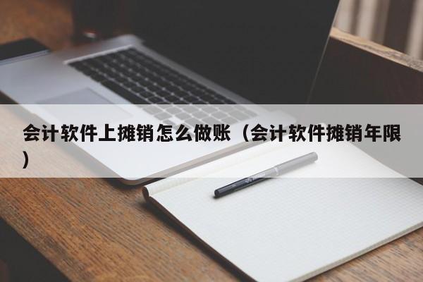 会计软件上摊销怎么做账（会计软件摊销年限）