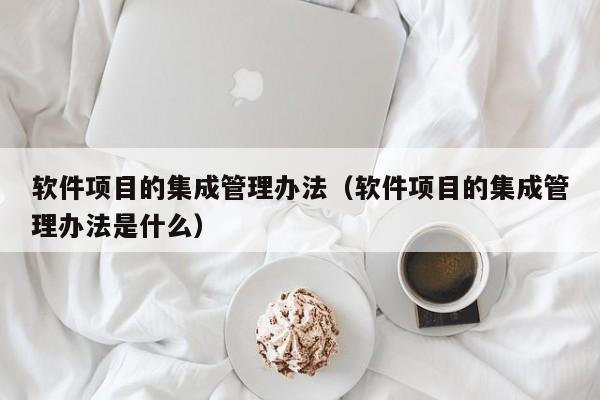 软件项目的集成管理办法（软件项目的集成管理办法是什么）