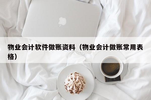 物业会计软件做账资料（物业会计做账常用表格）