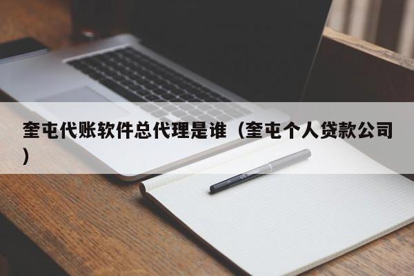 奎屯代账软件总代理是谁（奎屯个人贷款公司）