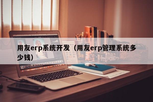 用友erp系统开发（用友erp管理系统多少钱）