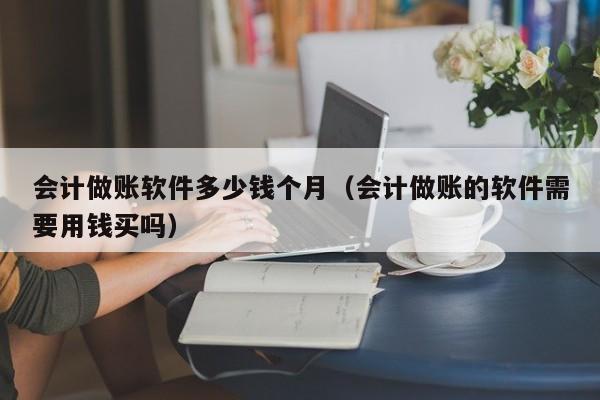 会计做账软件多少钱个月（会计做账的软件需要用钱买吗）