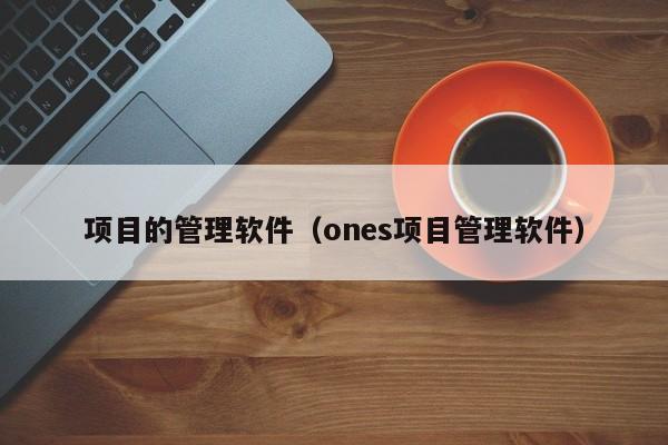 项目的管理软件（ones项目管理软件）