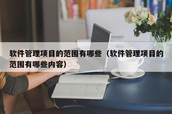 软件管理项目的范围有哪些（软件管理项目的范围有哪些内容）