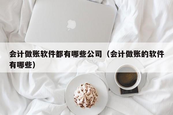 会计做账软件都有哪些公司（会计做账的软件有哪些）