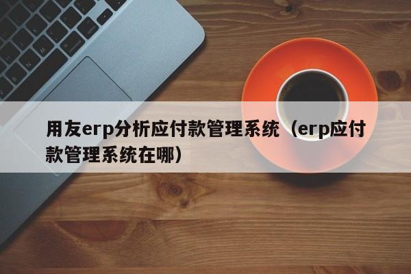 用友erp分析应付款管理系统（erp应付款管理系统在哪）