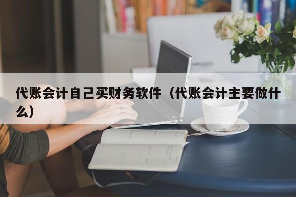 代账会计自己买财务软件（代账会计主要做什么）