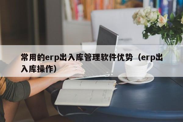 常用的erp出入库管理软件优势（erp出入库操作）