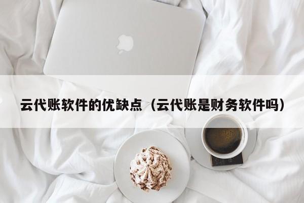 云代账软件的优缺点（云代账是财务软件吗）