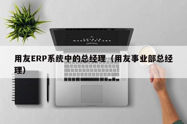 用友ERP系统中的总经理（用友事业部总经理）