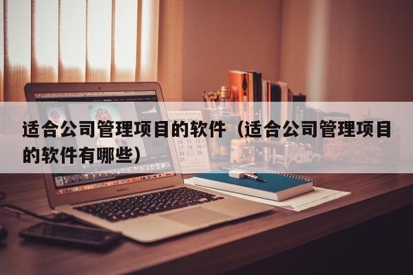 适合公司管理项目的软件（适合公司管理项目的软件有哪些）