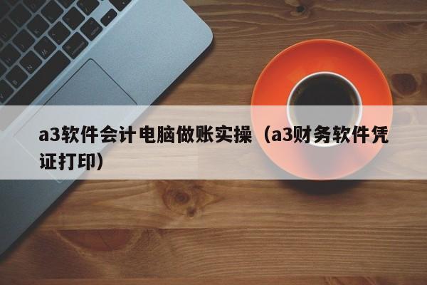 a3软件会计电脑做账实操（a3财务软件凭证打印）