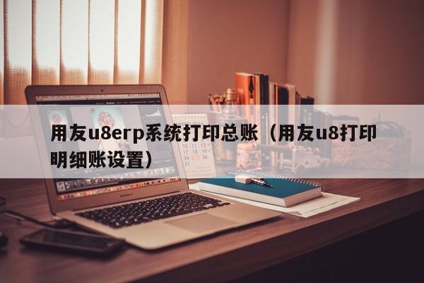 用友u8erp系统打印总账（用友u8打印明细账设置）