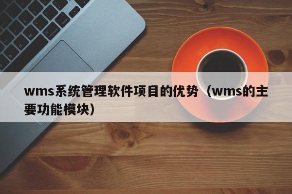 wms系统管理软件项目的优势（wms的主要功能模块）