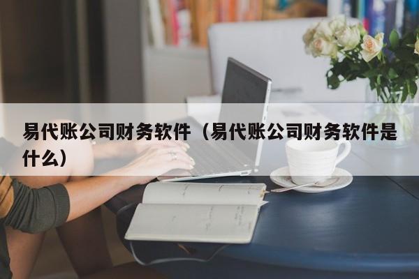 易代账公司财务软件（易代账公司财务软件是什么）