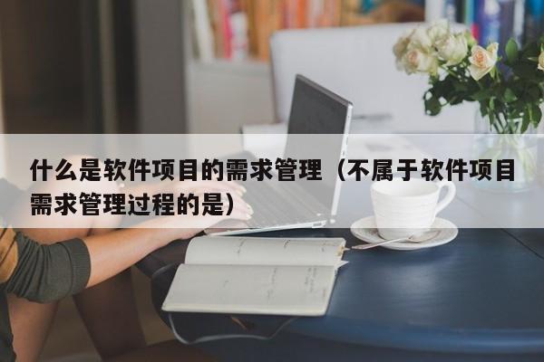 什么是软件项目的需求管理（不属于软件项目需求管理过程的是）