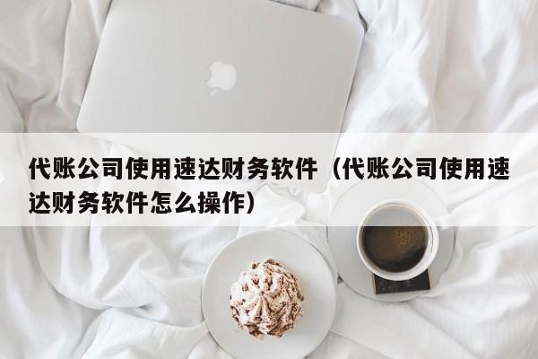 代账公司使用速达财务软件（代账公司使用速达财务软件怎么操作）