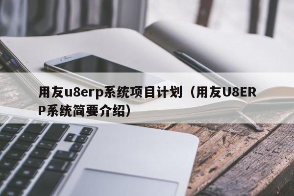 用友u8erp系统项目计划（用友U8ERP系统简要介绍）