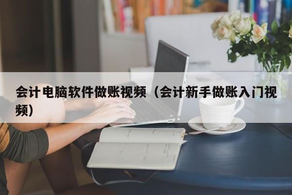 会计电脑软件做账视频（会计新手做账入门视频）