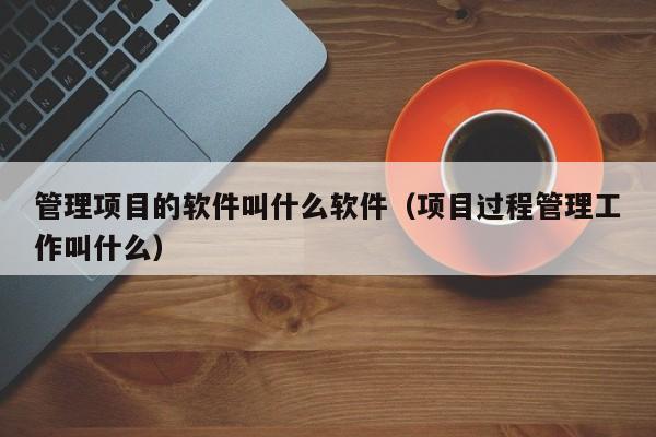 管理项目的软件叫什么软件（项目过程管理工作叫什么）