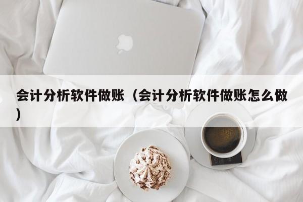 会计分析软件做账（会计分析软件做账怎么做）